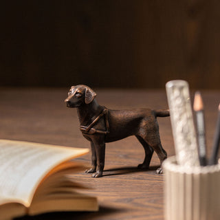 Guide Dog
