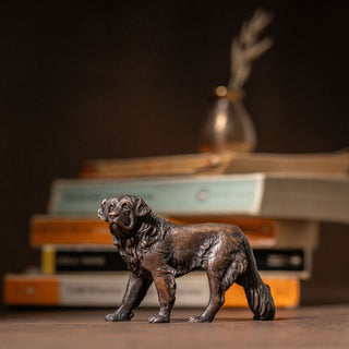 St Bernard