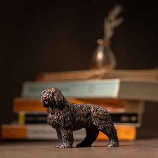 Old English Sheepdog
