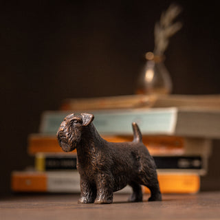 Sealyham Terrier