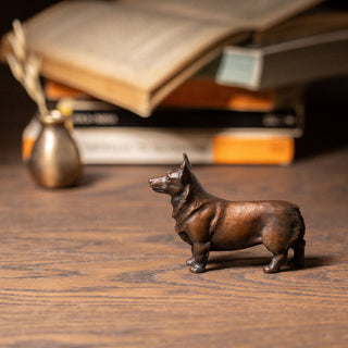 Welsh Corgi