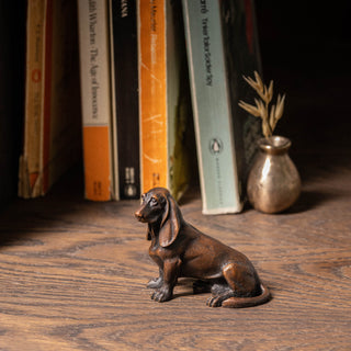 Basset Hound
