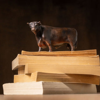 Prize Bull