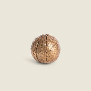 Valencia Orange