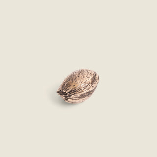 Almond