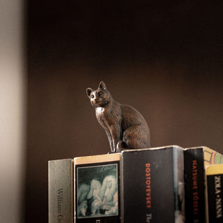 Sitting Cat