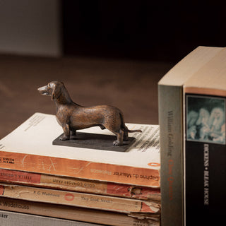 Dachshund
